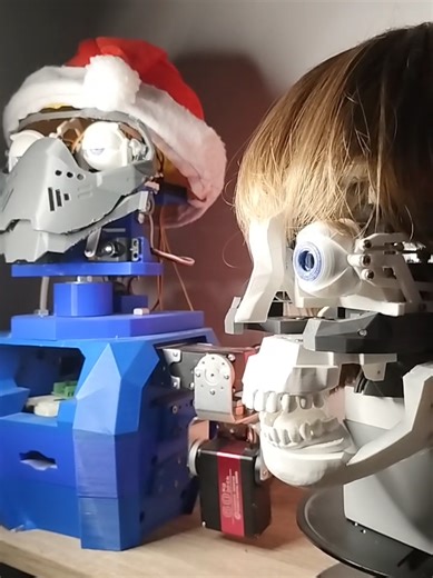 Algorina Live TikTok