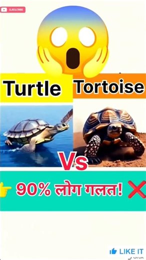 90% People Get Turtle vs Tortoise Wrong! #gk #education #shorts #biologyfacts #viralvideos