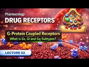 What is G-Protein Coupled Receptors | Gs, Gi and Gq Receptors | Drug Receptors Lec 02
