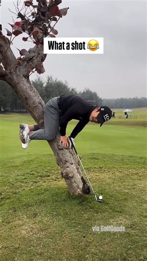 If in doubt, hang off a tree and chip it onto the green 😂😂 (via TT/GolfGoods) | CBS Sports
