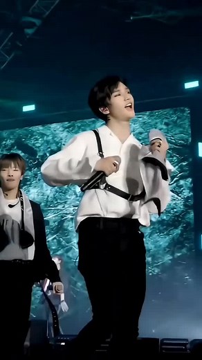 Stray Kids Live Performance: Energy and Style on Stage