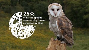 441 reactions · 68 shares | THE PERFECT MATCHING GIFT: Donate by Dec. 17 to honor a loved one and double your impact on wildlife’s only home for the holidays. | The Nature Conservancy | Facebook