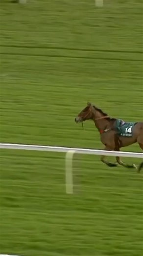 1.6M views · 5.8K reactions | Sliding into Grand National week! | Racing TV | Facebook