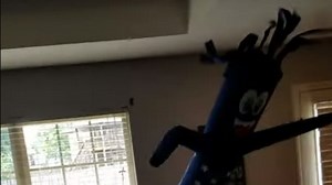 Nixa boy's reaction to Wacky Waving Tube Man warming hearts around the world: viral video