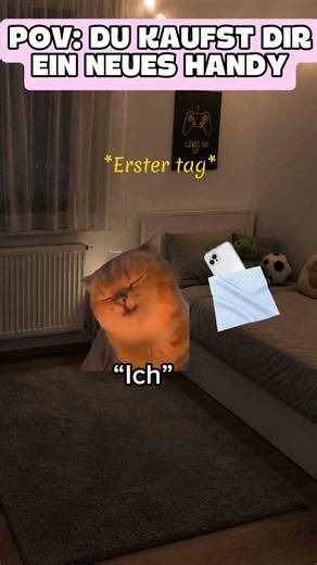 Wer kennts ? 😂 #cat #funny #katzenmemes #memes #cat