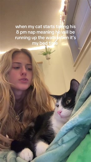 Cat's Nighttime Energy: The 8 PM Nap Mystery