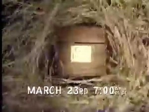 ToonHeads Promo - Academy Award Winning Toons