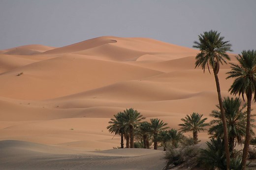 Définition | Silice : qu'est-ce que c'est ? | Futura planète