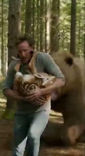 Fawn Taken as Grizzly Wakes in Forest