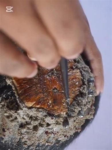 14K views · 97 reactions | Scalp cleaning at its peak  | Flake Lab | Facebook