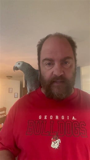 What My African Grey Eats 🦜 (Full Video at Noon!)