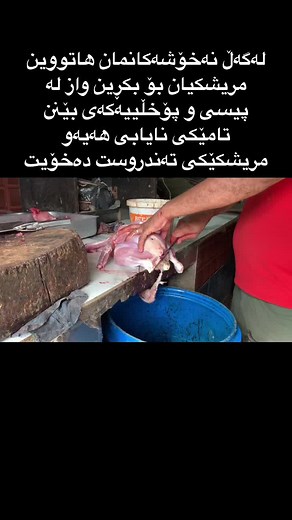 Butchering Chicken: A Step-by-Step Guide