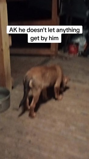 @xxxxxxxxxxxxxx