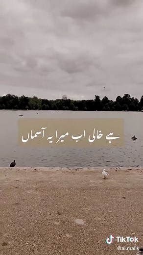 Rang Mahal OST: An Enchanting Love Story