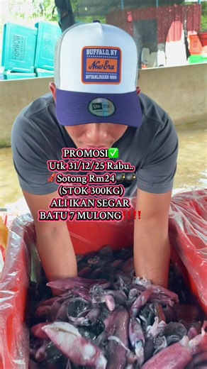 Ali Ikan Segar Batu 7 Mulong: Fresh Seafood Promotion