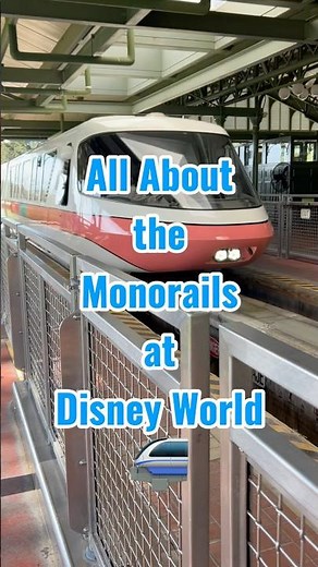Disney World Monorails - Visual Reference Guide ✨🚝