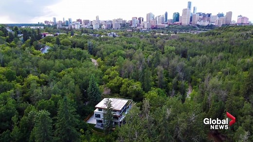 Extravagant Mill Creek Ravine home goes up for auction