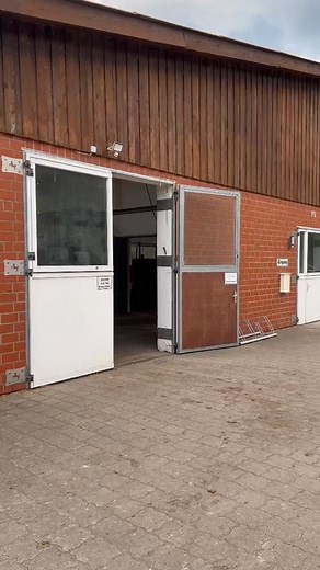 10K views · 360 reactions | Clip clop x 2 | Emiko Starr | Facebook