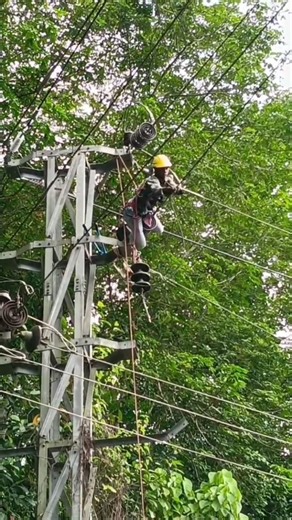 33KV covered conductor reconductoring work #youtubeshorts #works #shortsfeed #shortvideo