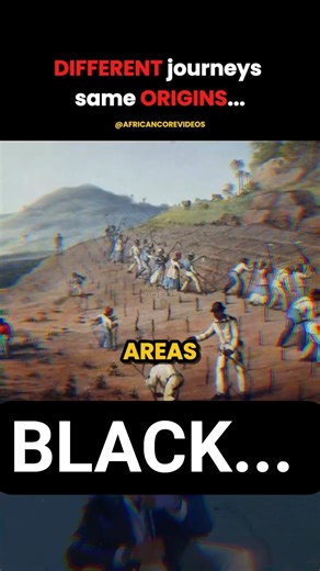 The History Behind Diaspora Differences