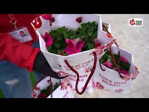 Impressionen vom Ersten BUGA 2021 Tag