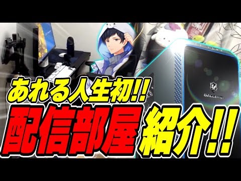 【コラボPC記念】APEX配信者による配信部屋紹介（陰）【あれる】