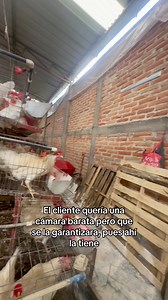 El cliente quería una cámara barata pero que se la garantizara, pues ahí la tiene. Es dahua wifi #dahua #lmou #unirach #tiandy #swan | Alarmas y cámaras Sahuayo