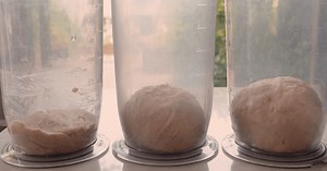 失敗しない！自家製酵母の起こし方～種起こし＆パン作り｜お悩み解決