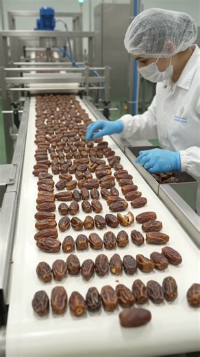How Dates Are Processed in a Modern Factory | From Cleaning to 3D Packaging