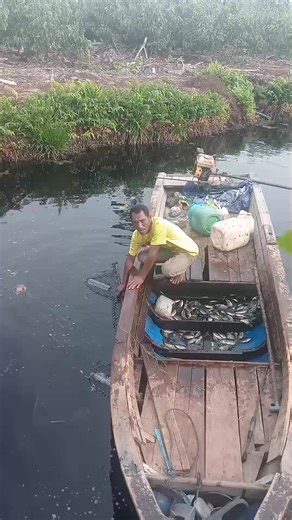 IWAR Masang bubu (@iwartuakang)’s videos with suara asli - IWAR Masang bubu