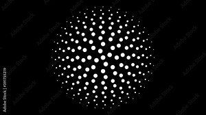Circular monochrome seamless dot pattern 4K animation with 4 fold rotational symmetry, circles orbit in a synchronised mathematical geometric structure