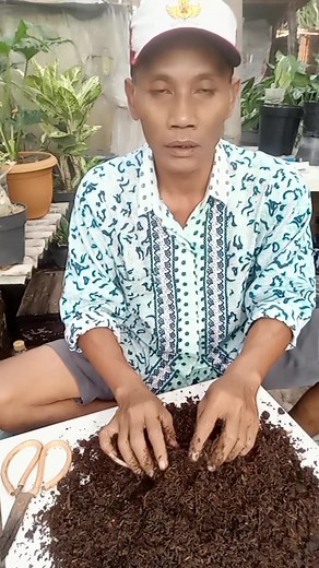 26K views · 473 reactions | Berikut adalah beberapa macam media poros yang bagus untuk tanaman bunga. Diantaranya adalah: -Pasir Malang -Sekam Mentah -Sekam Bakar -Cocopid #edukasi #tutorial #media_tanam #media_poros | Saiful Akhlak | Facebook