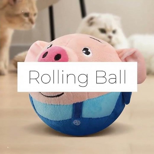 Electronic Pet Dog Toy | Music & Vibration Bouncin