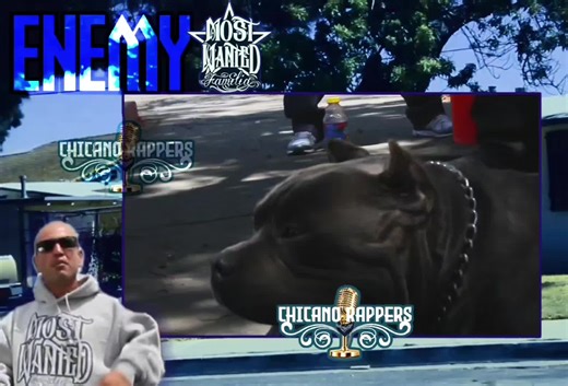 #chicanorap #chicanorappers #oxnard #throwback #chicanorapmusic | rap