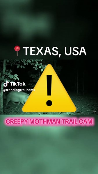 CREEPY MOTHMAN FIGURE CAUGHT ON FOREST TRAIL CAMS IN TWO SEPERATE OUTDOOR LOCATIONS #trailcam #strange #animals #creepy #trending #fypシ゚viral #fyp #veo3 #aitrailcam #mothman #crazy