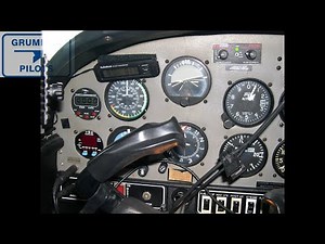 Cheetah AA5A Prepurchase Walk Through - Grumman Style