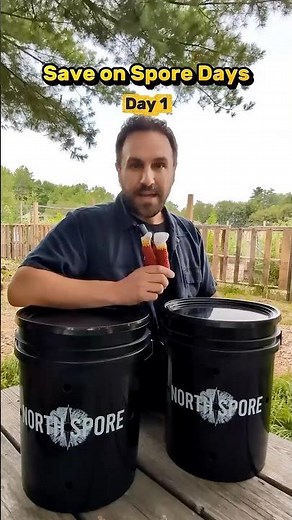 Celebrating the MushBucket mushroom bucket grow kit