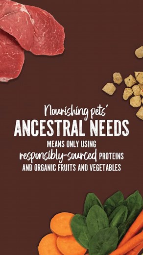 At Primal, we put the best in to get the best out. 🥩 That’s why our raw recipes offer whole food nutrition with responsibly sourced proteins and organic fruits and vegetables. We never need to use synthetic vitamins, minerals, or anything artificial, so you can feel confident knowing you’re feeding your dog the very best. | Primal Pet Foods