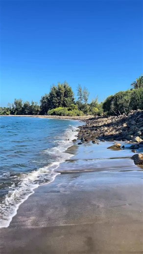Moon on Instagram: "Pretty shells & ocean finds 🐚🌊 It was my first time seeing a shell crab! 🐚 Don’t worry, I placed it back safely where it was. Anyone know the name of that fish? 🌊👀"