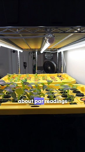 DIY Aeroponic Grow Light Setup — Part 3! 💡🌱