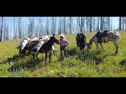 Bob Marshall Wilderness Pack Trip