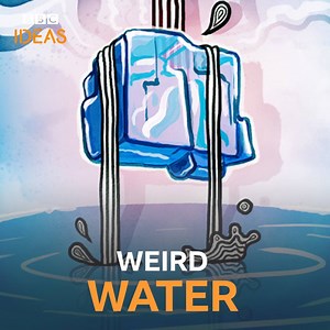 20M views · 1.2K reactions | Every day you drink dinosaur pee. This is the weird world of water… | BBC | Facebook