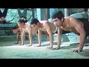 Traditional Chinese Martial Arts Training