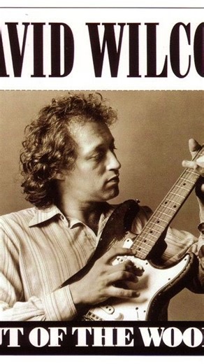 Cancon Eh | Mr. David Wilcox performing his Canadian gem “Do the Bearcat” live at the Diamond club in Toronto, 1989 🇨🇦 🍁 The beloved Canadian cult... | Instagram