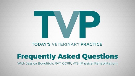 What should a veterinary nurse/technician know about physical rehabilitation? | Today's Veterinary Nurse