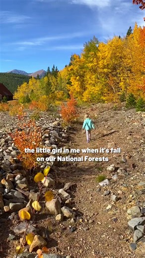 1.8K views · 52 reactions | Like this if you share the same inner monologue while exploring National Forests in the fall.  #autumn #fall #nationalforest | National Forest Foundation | Facebook