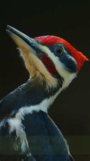 Wildlife Exploration Days at John Ball Zoo