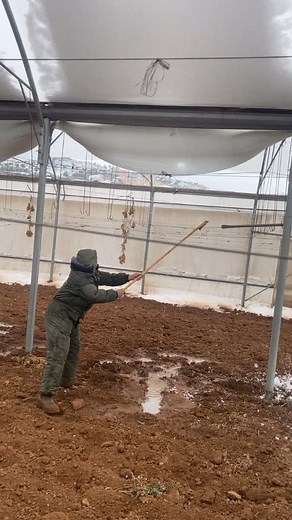 Swinging Techniques with Natural Materials in a Greenhouse