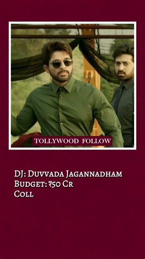 Allu Arjun Movies Budget and Collection Analysis | Part 6