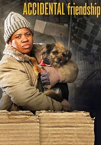 Accidental Friendship (2008)